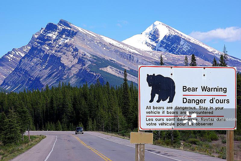 熊出没警告牌，荒野，落基山脉，加拿大艾伯塔省图片素材