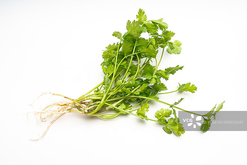新鲜的香菜叶，白色背景图片素材