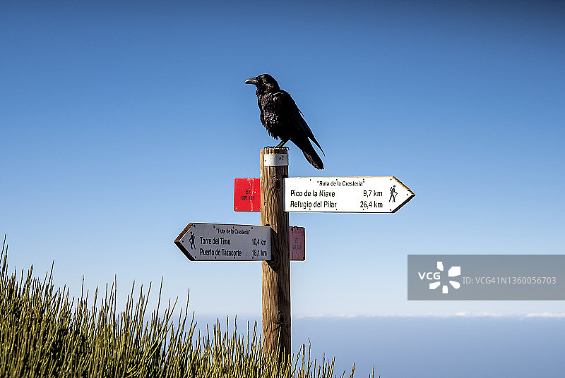 方向指示牌，山上的木制标志牌，清澈的天空背景图片素材