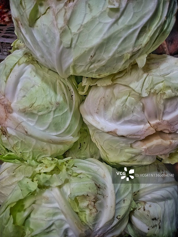 卷心菜的完整画面图片素材