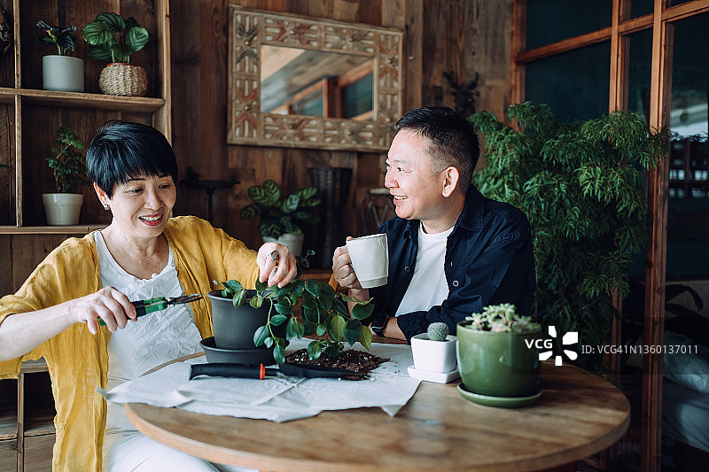 快乐的亚洲老年夫妇在一起度过时光，在阳台上细心照料和修剪室内植物。在舒适的家中享受生活和高质量的相处时光。退休生活方式图片素材