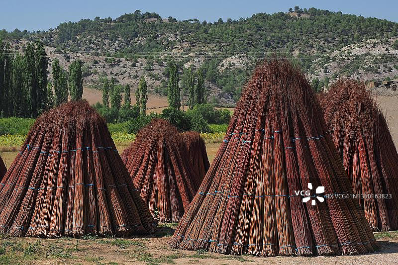 柳条干燥：西班牙柳条环与柳条捆图片素材