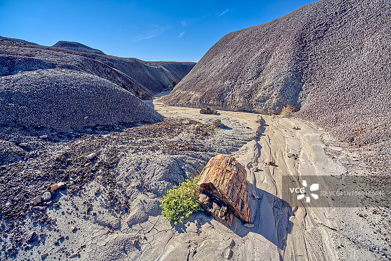 美国亚利桑那州石化林国家公园紫色峡谷图片素材