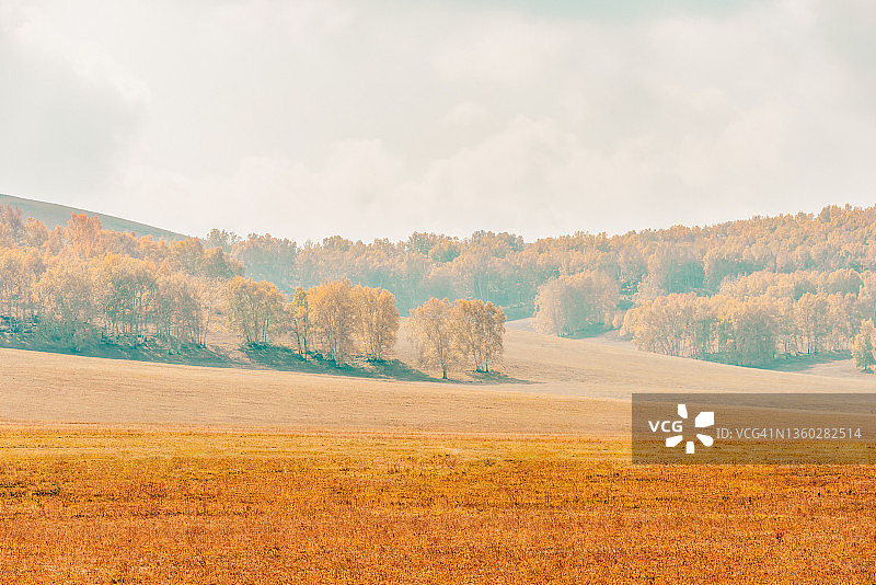 秋天的风景图片素材