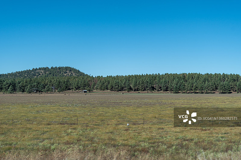 前往塞多纳和大峡谷的夏季假期图片素材