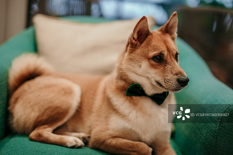 每个人都享受圣诞节时光图片素材