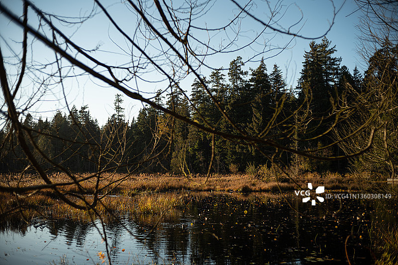 斯坦利公园的海狸湖图片素材