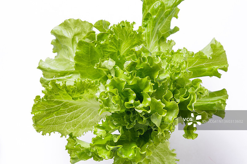 白色背景上的绿色蔬菜或生菜叶，素食主义者，纯素食主义者和生食。有机农场产品。图片素材