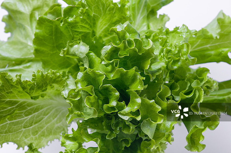 白色背景上的绿色蔬菜或生菜叶，素食主义者，纯素食主义者和生食。有机农场产品。图片素材
