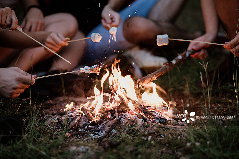 朋友们在森林篝火旁烤棉花糖图片素材
