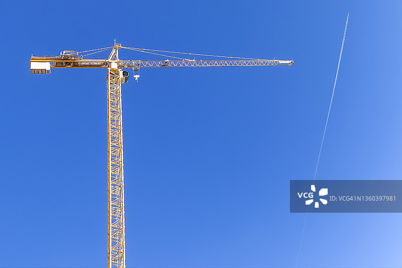 黄色鹤图片素材