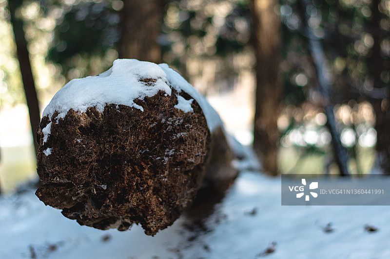 加拿大基奇纳休伦公园的冬日图片素材