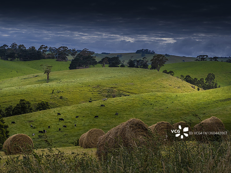 澳大利亚维多利亚州南吉普斯兰区图拉镇附近的富兰克林河图片素材