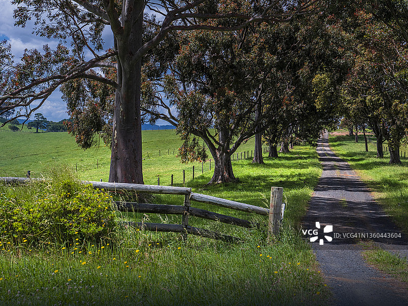 澳大利亚维多利亚州南吉普斯兰区图拉镇附近的富兰克林河图片素材