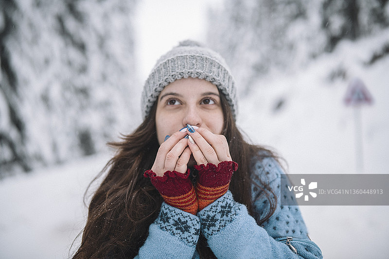 雪地寒日图片素材
