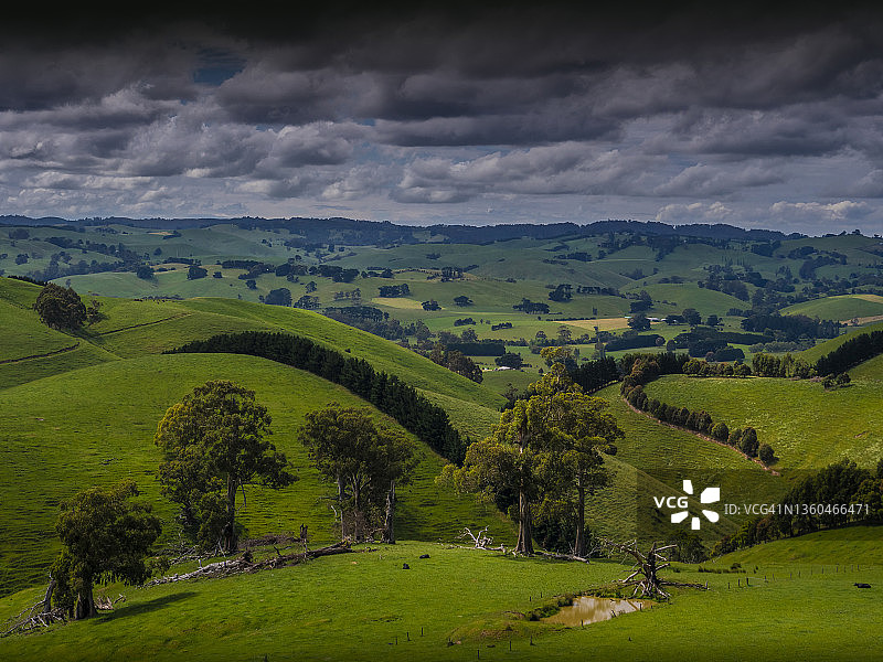 澳大利亚维多利亚州南吉普斯兰Leongatha地区的Dumbalk北部和Dollar乡村农田丘陵地区图片素材
