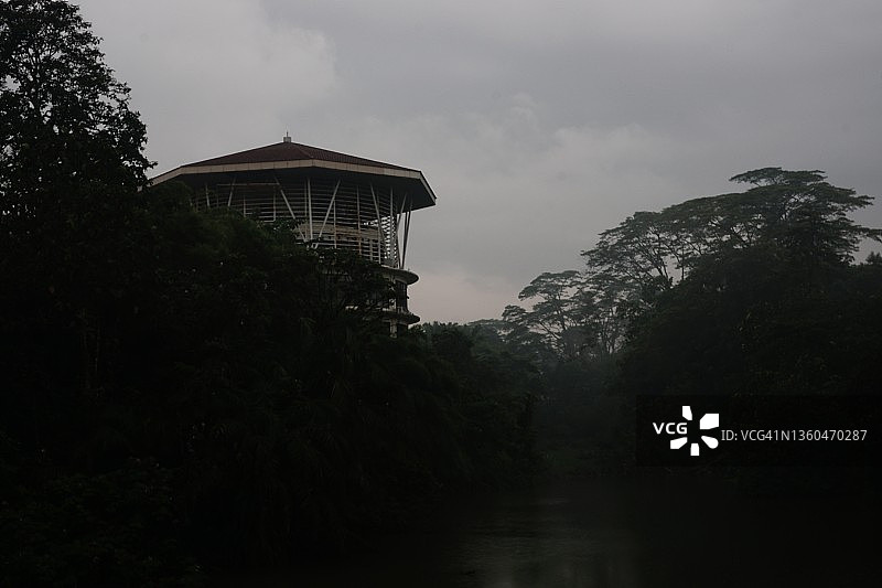 丛林中的高观景塔剪影图片素材