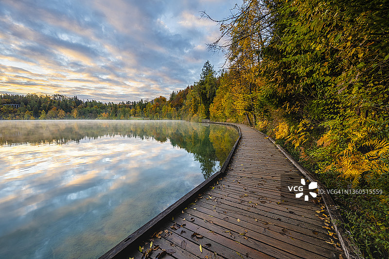 斯洛文尼亚布莱德湖秋景木制走道图片素材