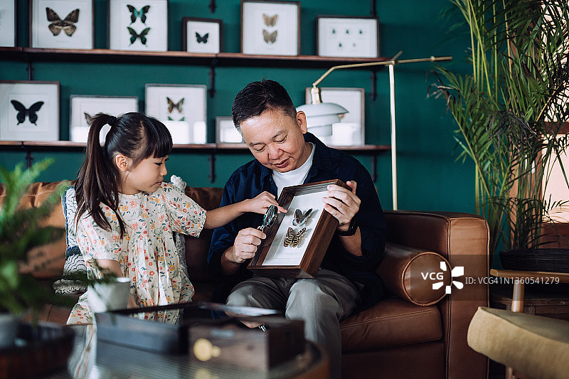 快乐的亚洲爷爷拿着放大镜，在家向孙女展示昆虫收藏标本，分享他的爱好。多代同堂家庭，快乐的退休生活，老年人的爱好和兴趣概念图片素材