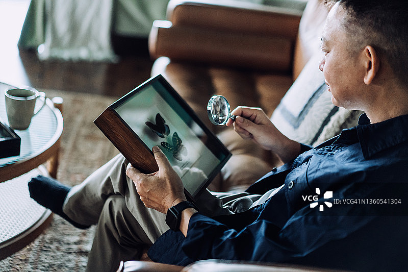 年长的亚洲男人在舒适的家中沙发上放松，用放大镜检查昆虫收藏标本，快乐的退休生活，老年人的爱好和兴趣概念图片素材