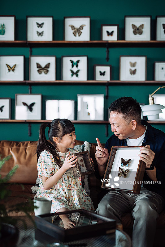 快乐的亚洲爷爷在家中拿着昆虫标本收藏夹，孙女拿着植物和种子标本收藏夹，分享共同的兴趣爱好，愉快地聊天。多代同堂家庭。兴趣爱好概念图片素材