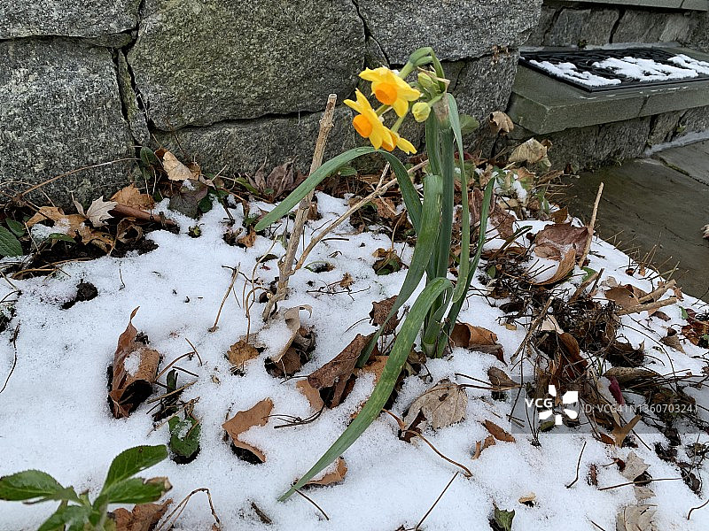 全球变暖图片素材