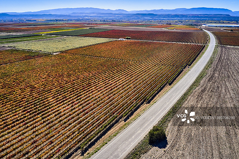 西班牙拉里奥哈秋季葡萄园图片素材
