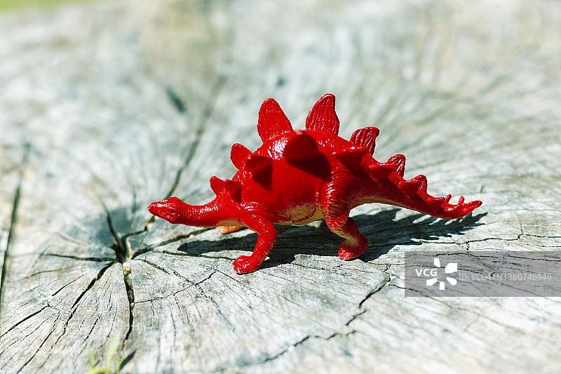 橡胶恐龙玩具图片素材