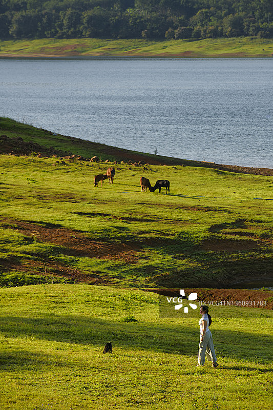 与牛和她的狗在一起的年轻女农场主图片素材