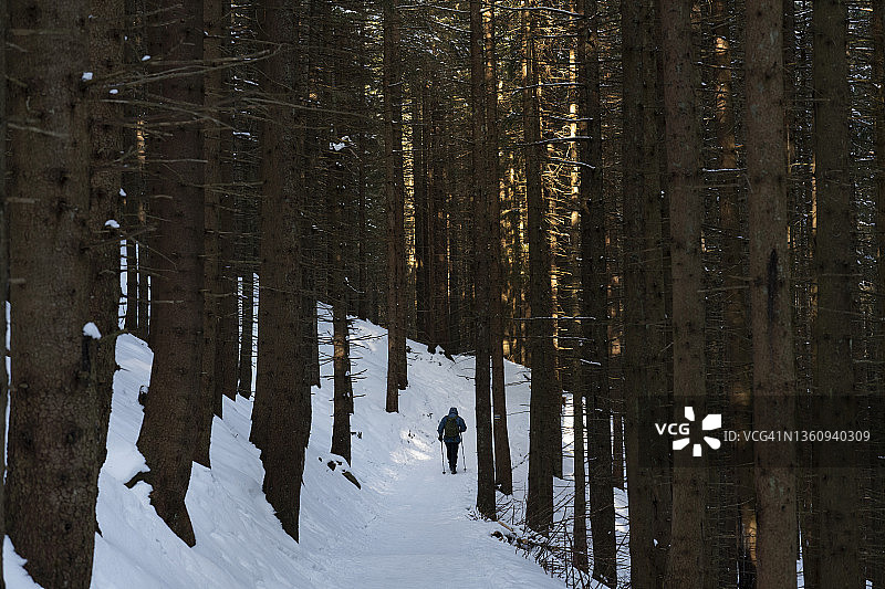 徒步者在波兰塔特拉山脉的冬季森林中徒步图片素材