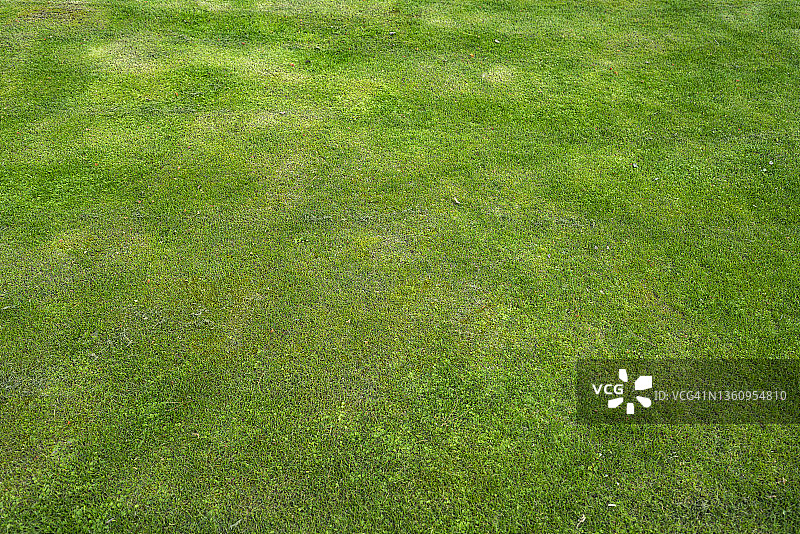 草地全画幅照片图片素材