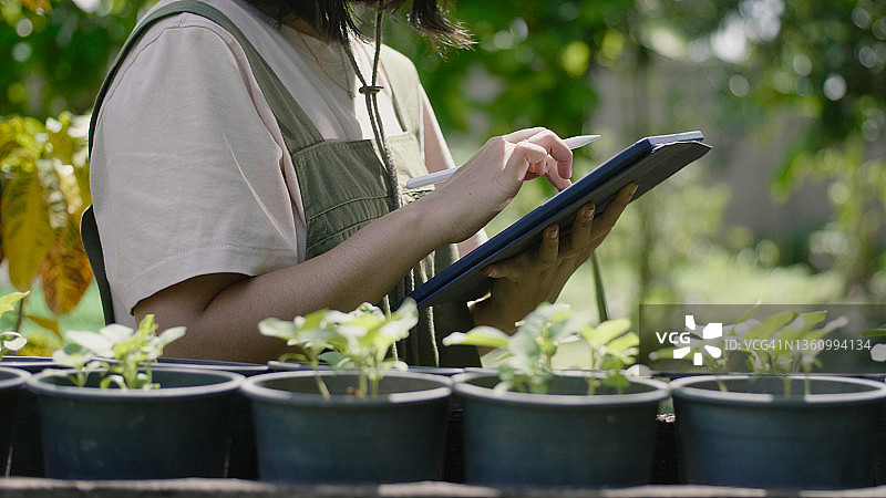 女人在农场用平板电脑检查植物图片素材