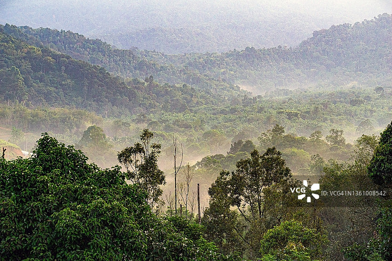 马来西亚雾季和季风季节的雨林景色图片素材