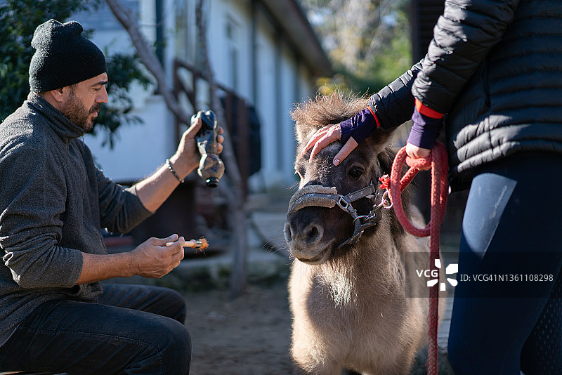农民准备给矮种马涂漆图片素材