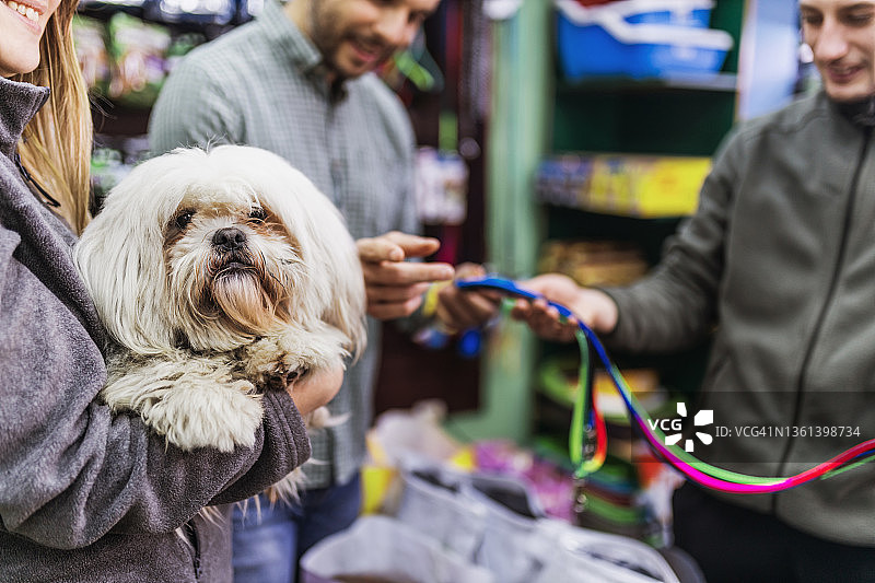 宠物店图片素材