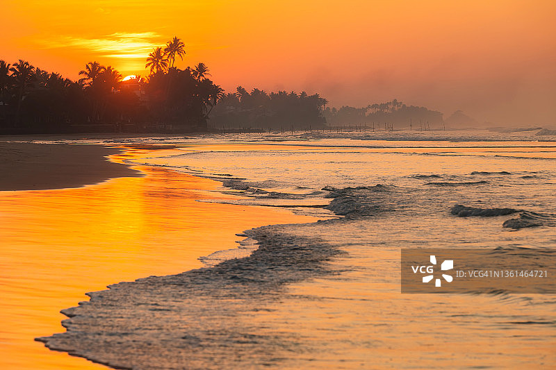 斯里兰卡椰林海滩日落图片素材