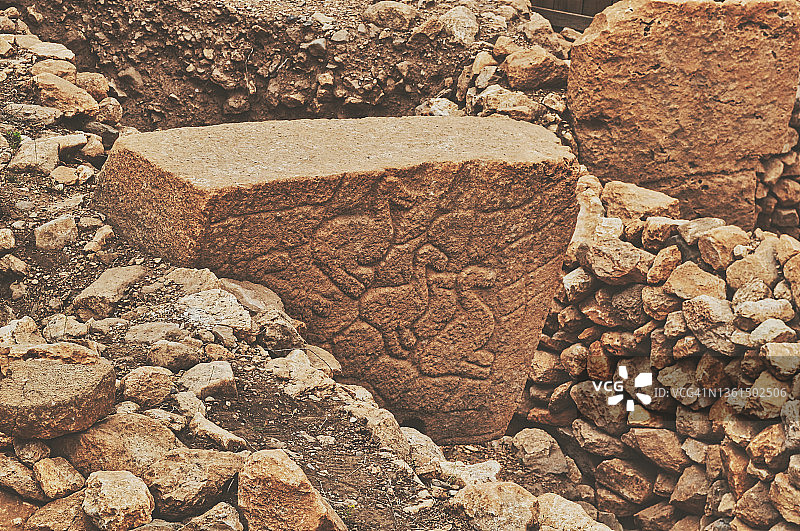 哥贝克力石阵12号石柱细节：鸟类图片素材