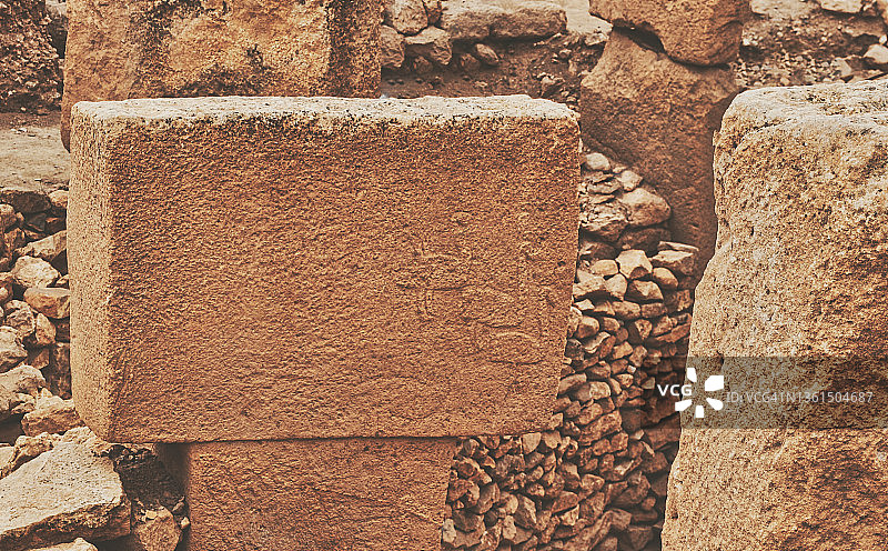 哥贝克力石阵石柱细节：狐狸或狼图片素材