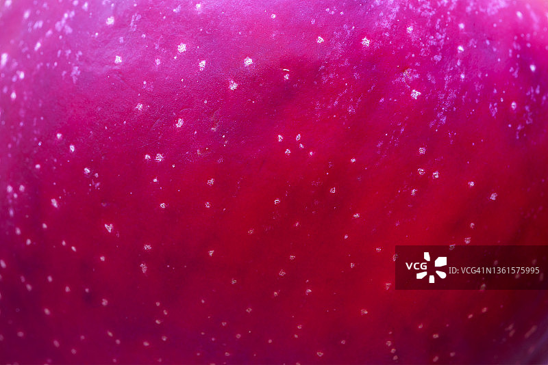 红苹果图片素材