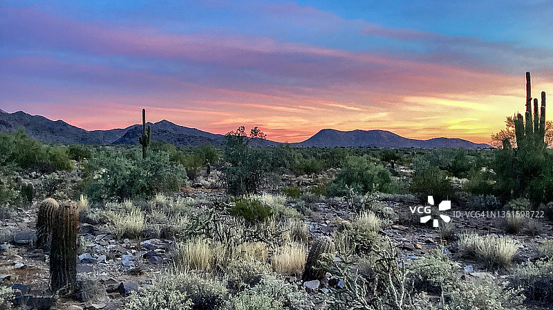 亚利桑那州斯科茨代尔麦克道尔索诺兰保护区门户小径起点图片素材