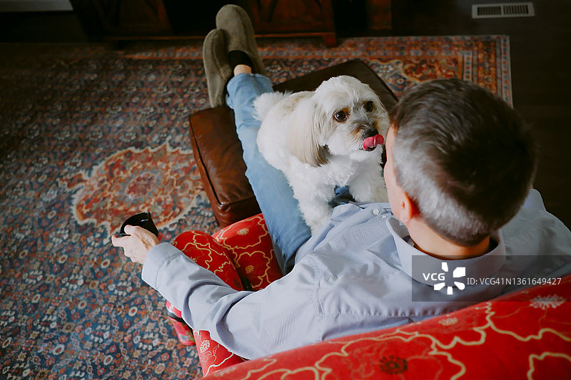 马达加斯加长毛犬向男人示好图片素材