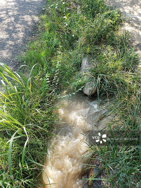 9号公路沿线灌溉沟渠中生长的草图片素材