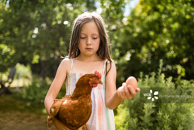 儿童手捧小鸡和鸡蛋图片素材