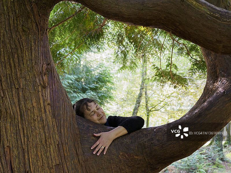 女人拥抱英国新森林里的一棵树图片素材