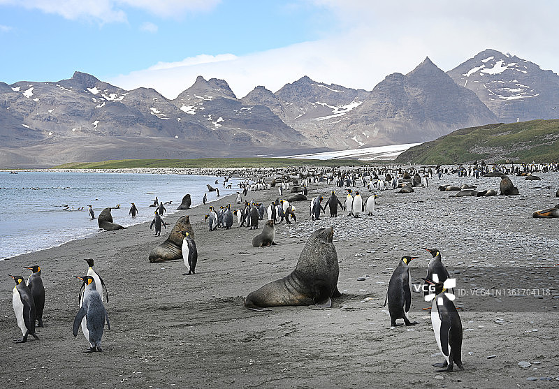 南乔治亚图片素材