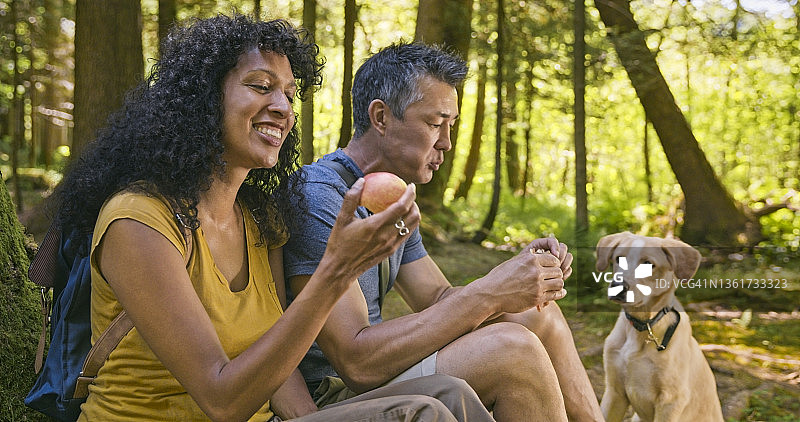 情侣带狗在森林里吃午餐图片素材