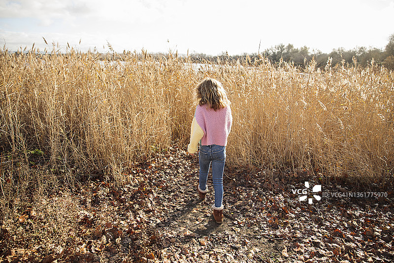 女孩走过一片干燥的田野（背面视角）图片素材