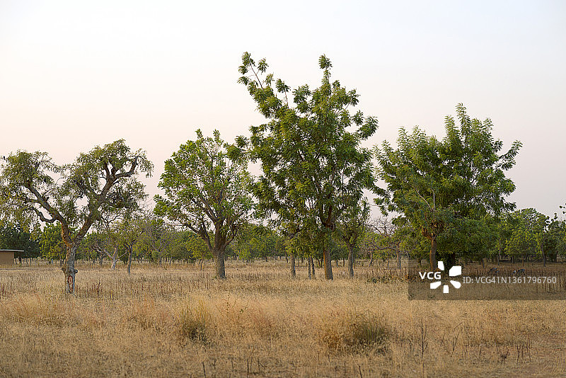 布基纳法索的迷人自然风光图片素材