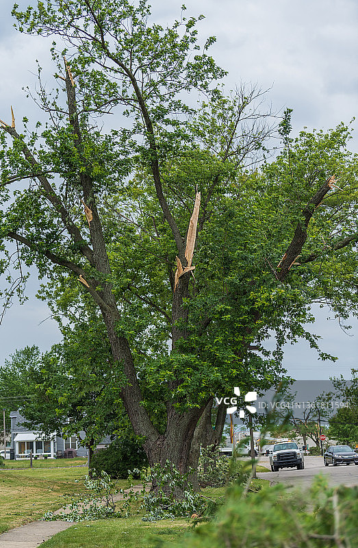 龙卷风摧毁郊区树木图片素材