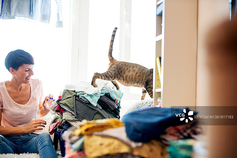 准备熨烫衣物的成年女性和她的德文卷毛猫图片素材